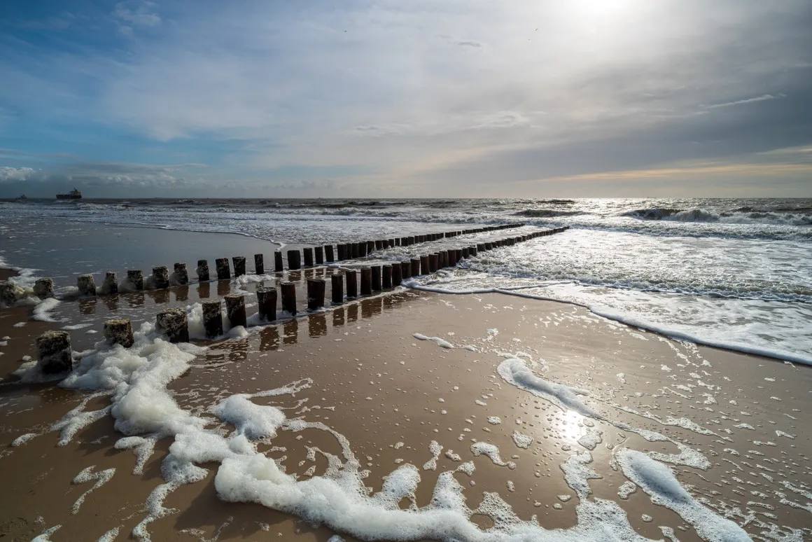 Zeeland coastal landscape with windswept dunes and blue sky